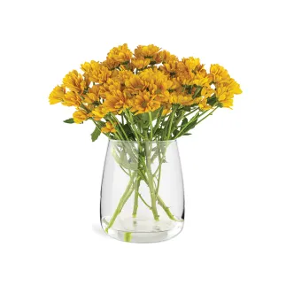 Wazon dekoracyjny Emma 22.7 cm