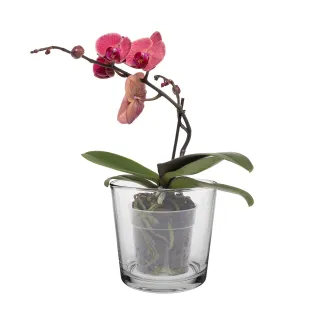 Osłonka, pojemnik dekoracyjny Linea 16 cm