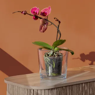 Osłonka, pojemnik dekoracyjny Linea 16 cm