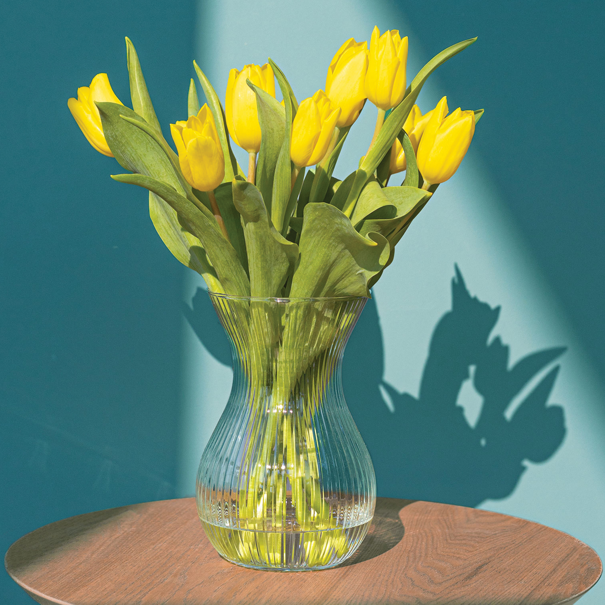 Nest – aranżacja 2